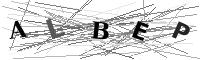 Please refresh your browser to see this image.